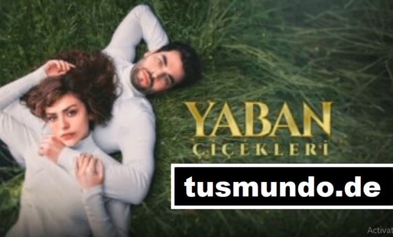 Yaban Cicekleri